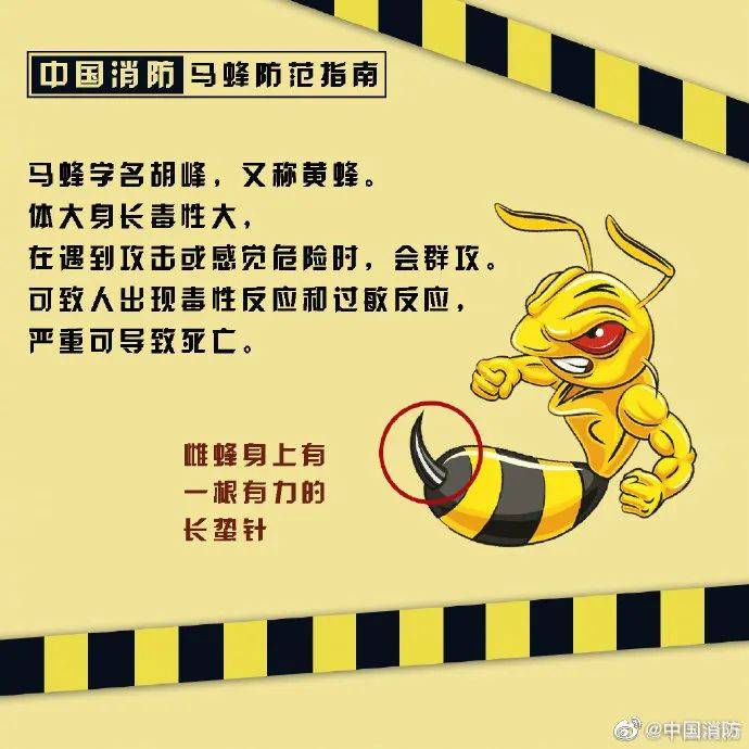 DƬ
